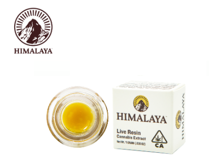 Himalaya: Glazed Grapefruit Terp