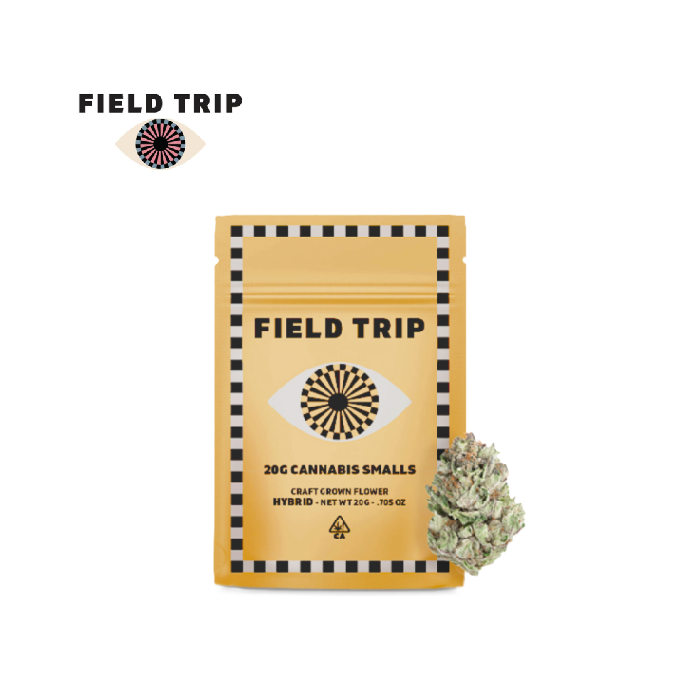 Field Trip: Electric Feel
