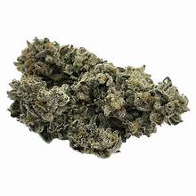 Wave Rider — Berry OG