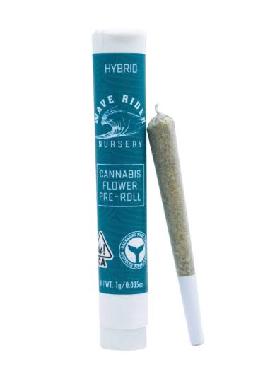 Wave Rider: FACETZ 1G PREROLL