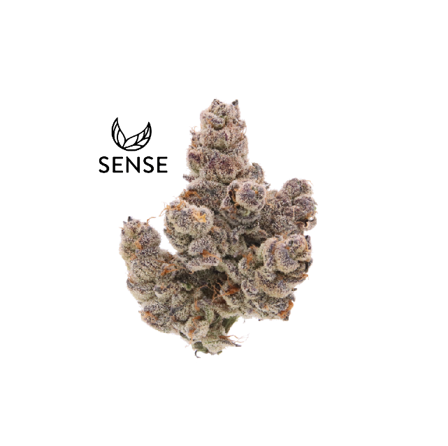 Sense — Piescream