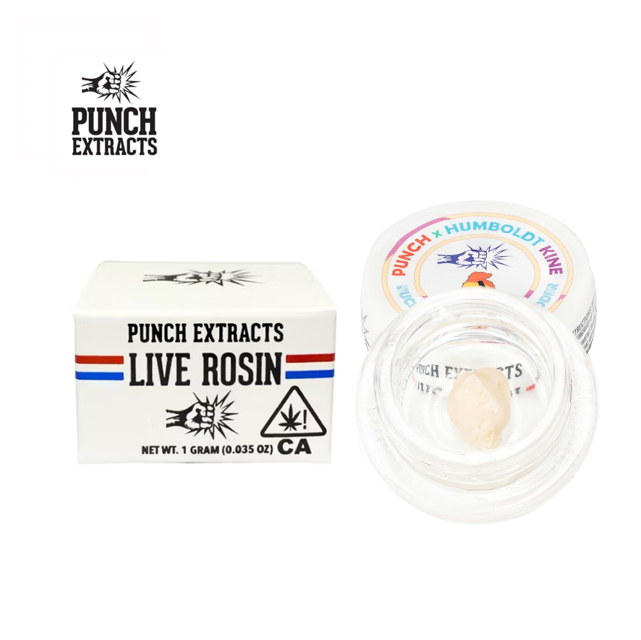 Punch: Bucket De LA Sour Tier 3