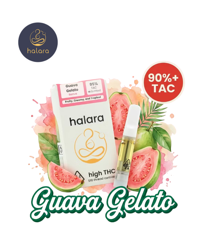 Halara — Guava Gelato High