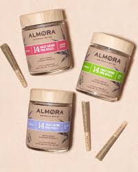 ALMORA — Blue Halo