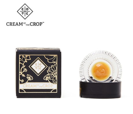 CREAM OF THE CROP: Miami Haze