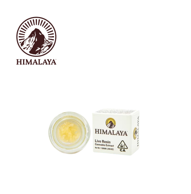 Himalaya: Wakanda Terp