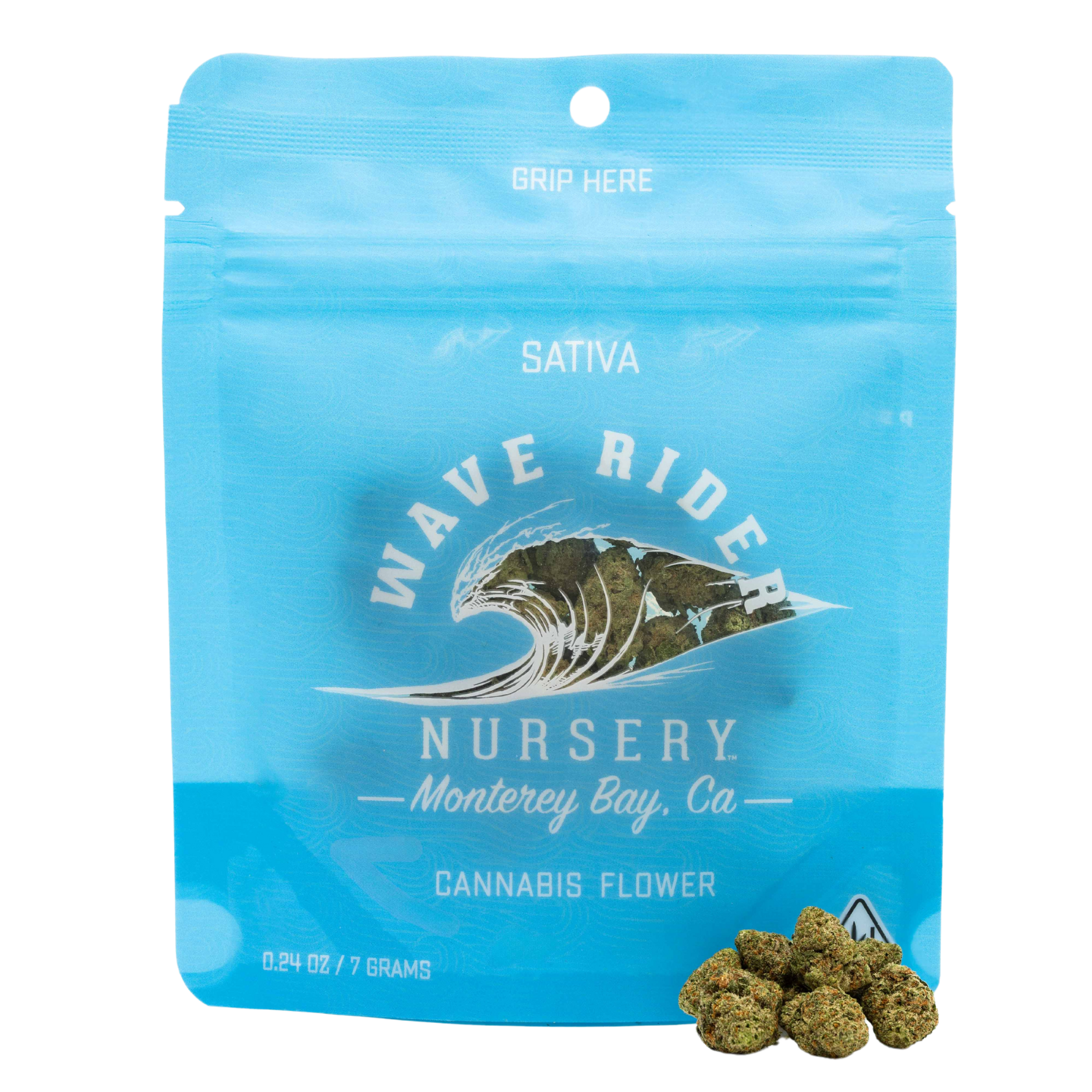 Wave Rider — Blueberry Haze