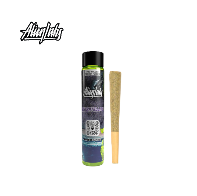Alien Labs — BK Satellite