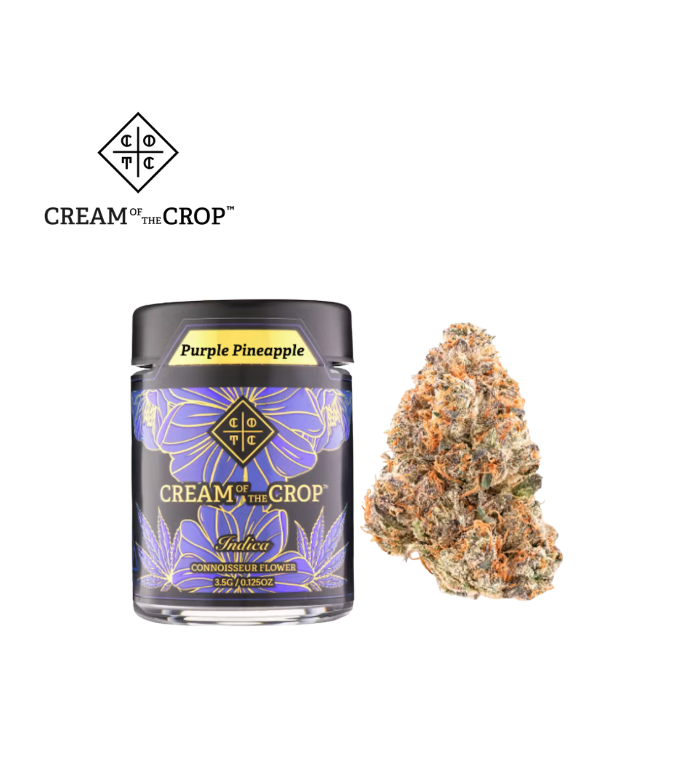 CREAM OF THE CROP — Purple Pineapple