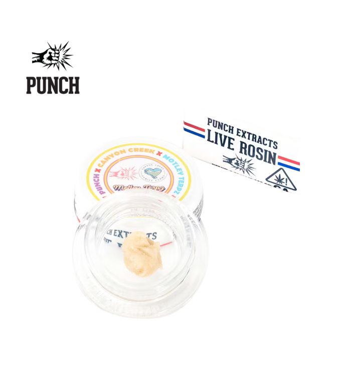 Punch — Acai Gelato Tier 4