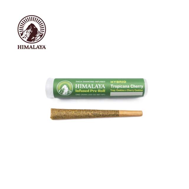 Himalaya: Tropicana Cherry