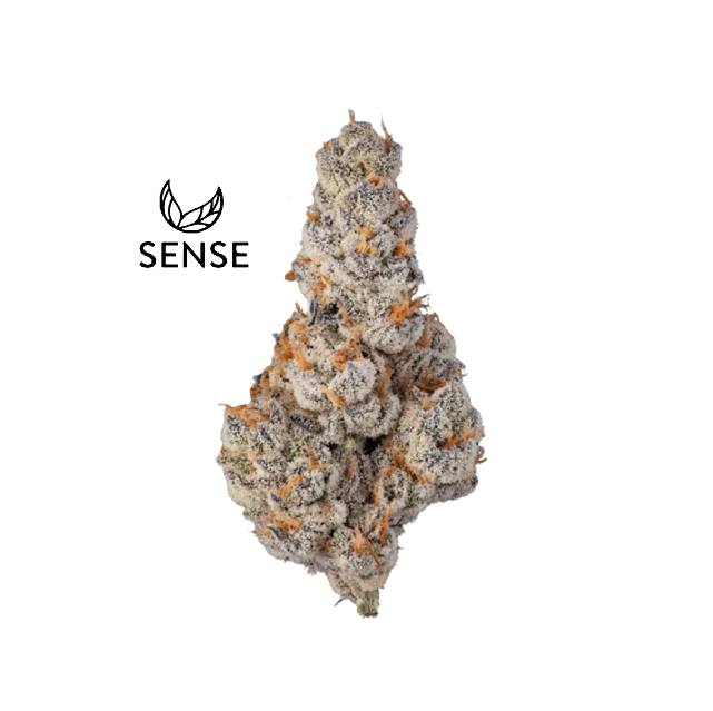 Sense: El Chivo #5