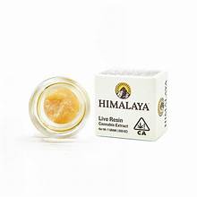 Himalaya — GMO Terp