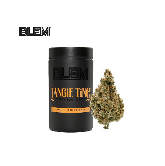 BLEM — Tangie Ting