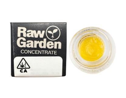 Raw Garden: Headband