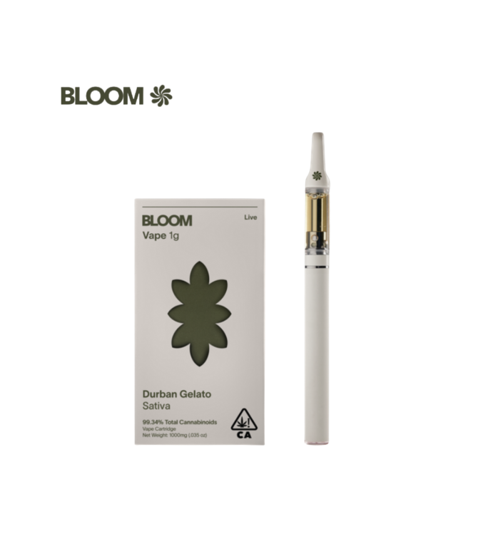 BLOOM: Durban Gelato