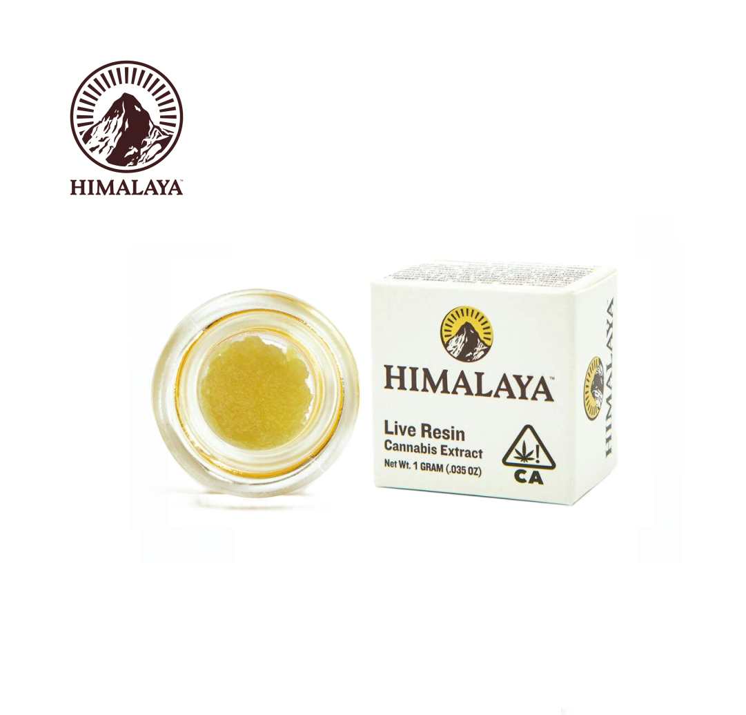 Himalaya — 4K Terp