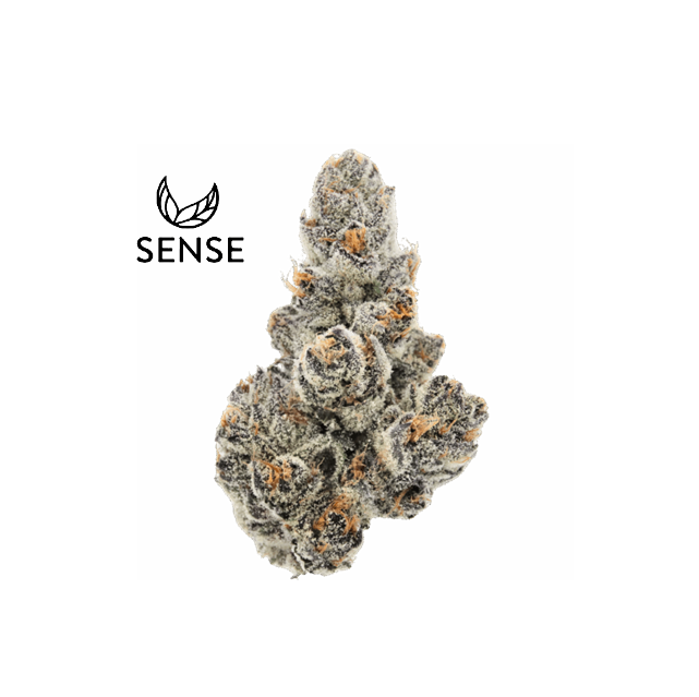 Sense — Yuzu Sour