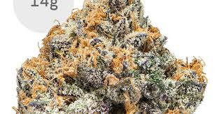 PAPAYA FUMEZ #10 14G