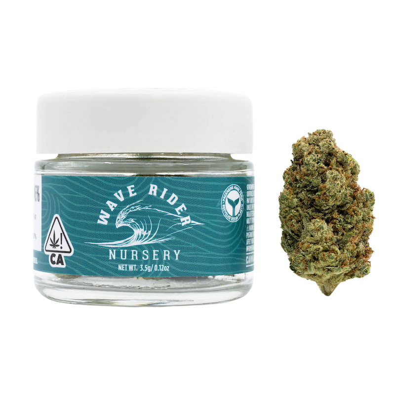 Wave Rider — Blueberry Haze