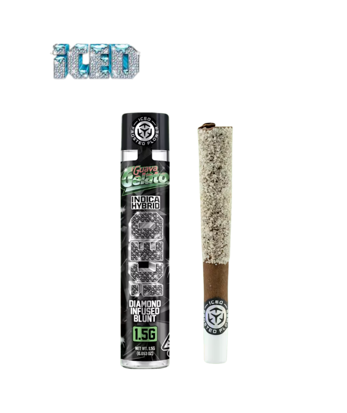 ICED — Guava Gelato Blunt