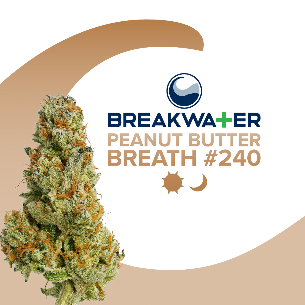 Peanut Butter Breath #240 - Flower - 3.5 g – Premium Cannabis Products ...