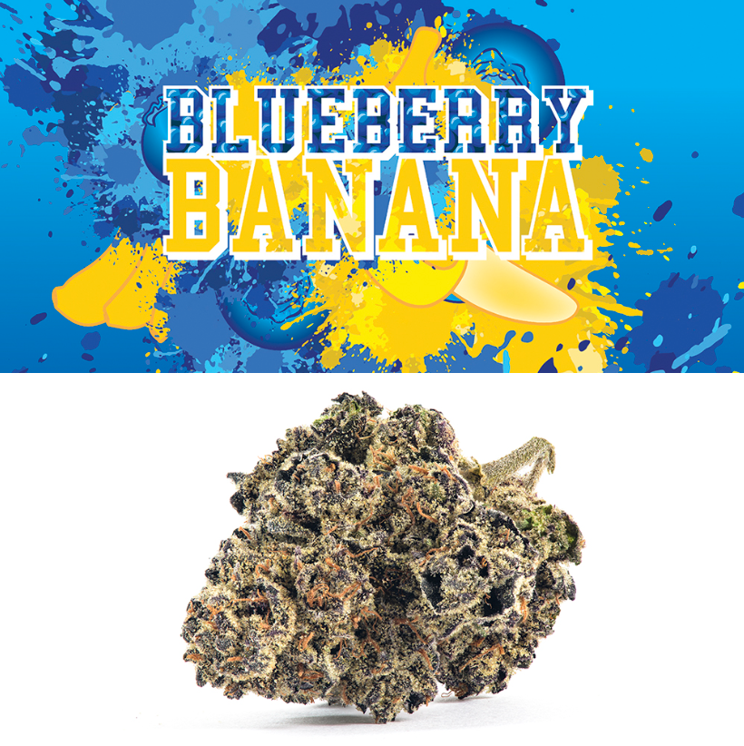 BLUEBERRY BANANAS-BY ETERNAL FIELDS-DELI FLOWER