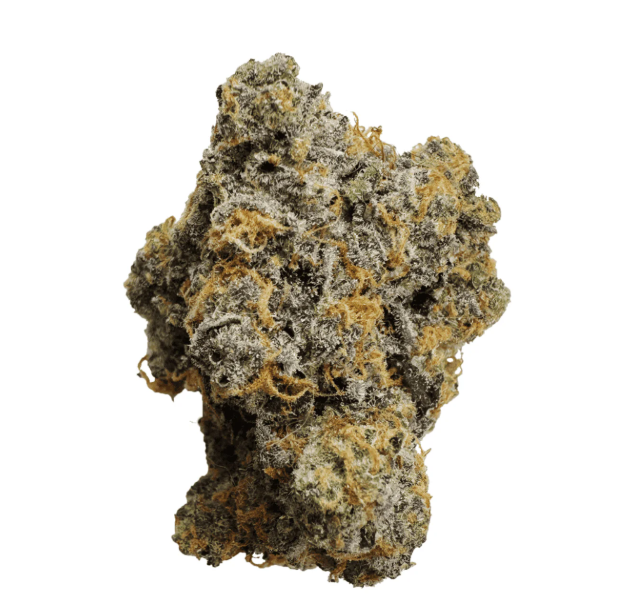 KAI-Gary Payton-Prepacked Shake-28g