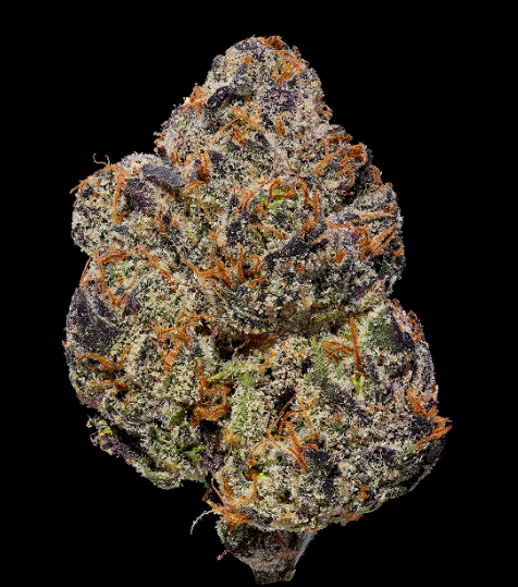 Bolo Runtz-By Tru Smoke-Exotic Deli Flower