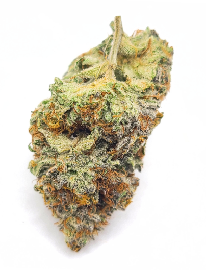 Smackerz-By Green Shift-Deli Flower
