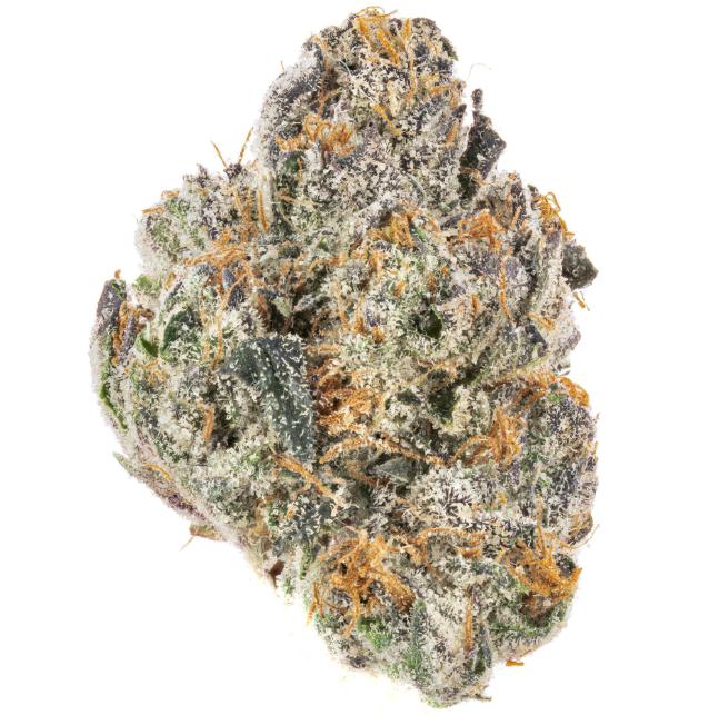 Martini-By Happy Buds-Exotic Deli Flower