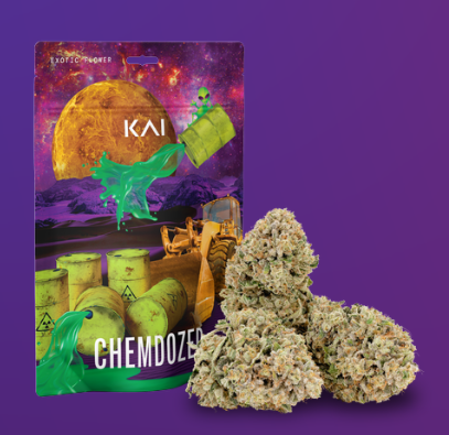 Kai-Chemdozer-Prepacked Shake-28g