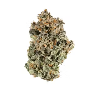 Sherb Cocktail-By Green Earth Cultivators-Deli Flower