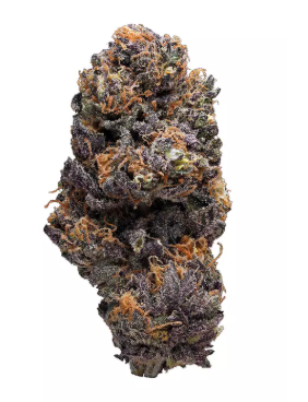 BLACK ROCK LAVA CAKE-BY ETERNAL FIELDS-DELI FLOWER