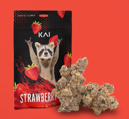 KAI-Strawberry Gary-Prepacked Shake-28g
