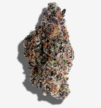 Black Cherry Ghost-By Freedom Green Farms-Exotic Deli Flower