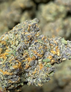 Twisted Trees-Cinnamon Toast Runtz-3.5g-Prepack - 3.5 g