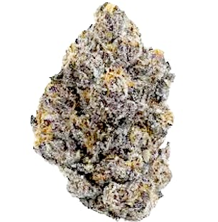 XO Runtz-By Epic Gardens-Exotic Deli Flower