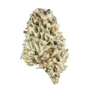 Biscotti-By Bulk Boyz-Exotic Deli Flower