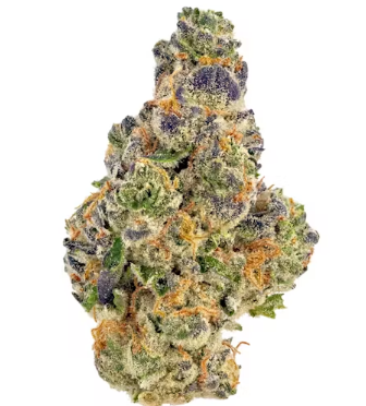 Gumbo-by Epic Gardens-exotic Deli Flower