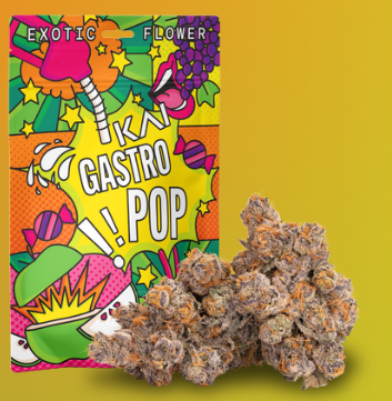 KAI-Gastro Pop-Prepacked Shake-28g