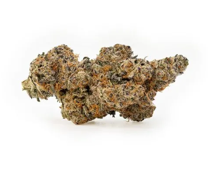 Bud & Mary's-Oreo Cake x Mai Tai-3.5g-Prepacked Flower