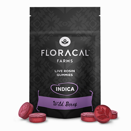 WILD BERRY - GUMMIES - 100MG - 10PK
