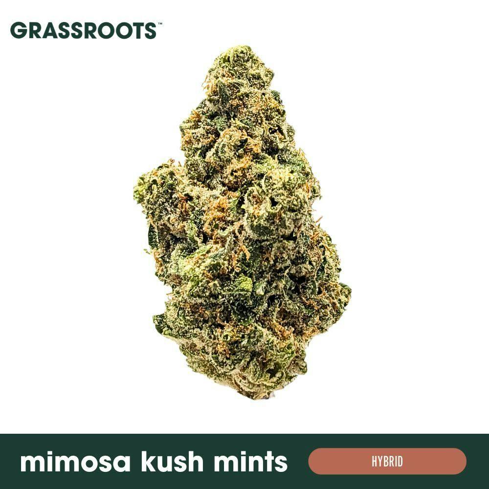 MIMOSA KUSH MINTS - POPCORN - 7G