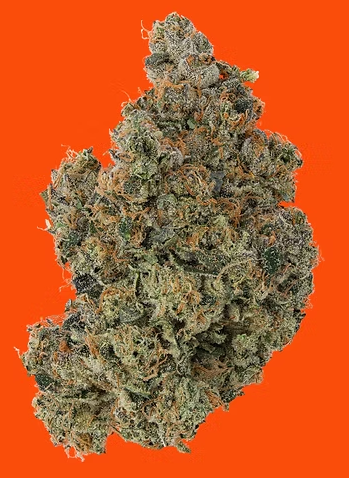 C.T.C. - Flower- 14G