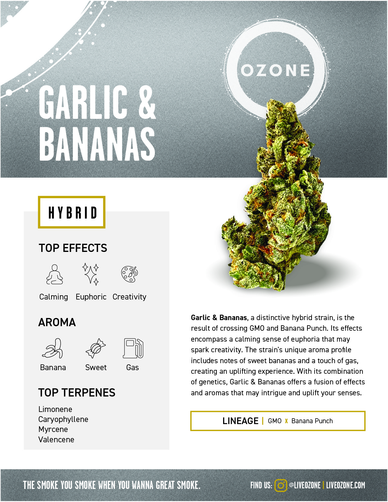 GARLIC AND BANANAS - POPCORN - 14G