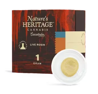 Govermint Oasis - Live Rosin - 1g