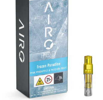 AIROX - FROZEN PARADISE - DISPOSABLE - 2G
