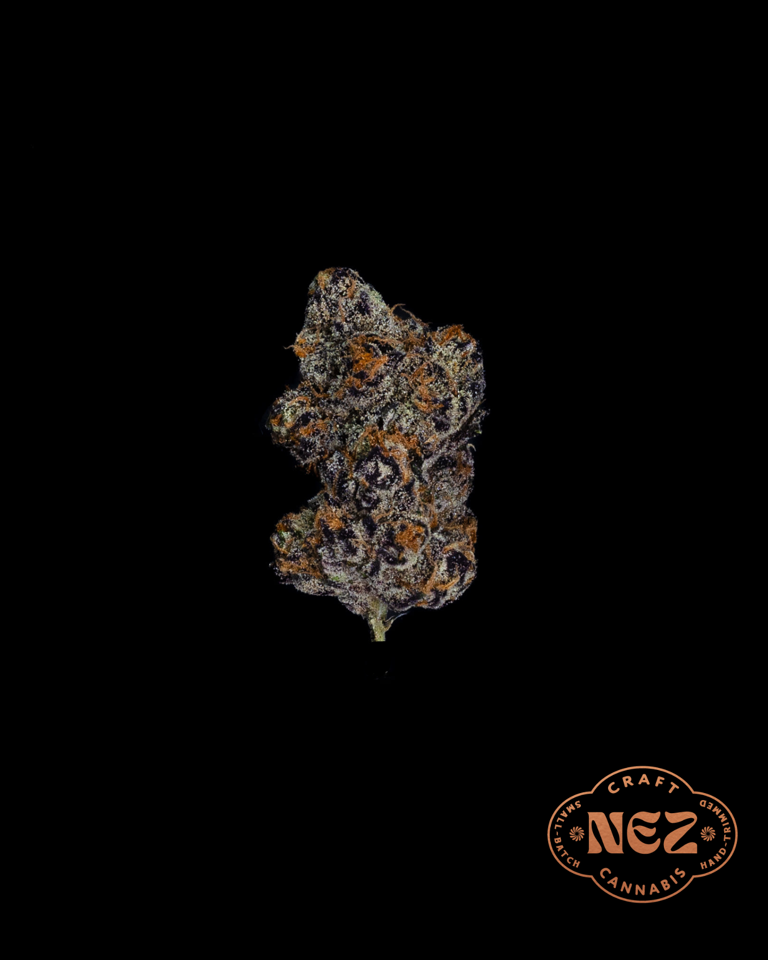 BOLO RUNTZ - FLOWER - 3.5G