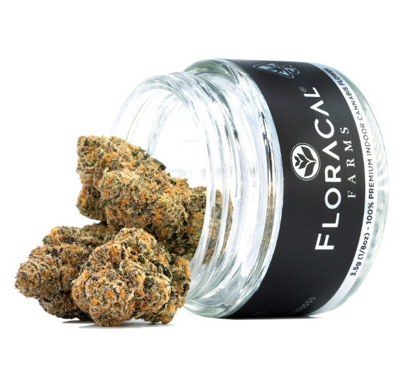 PURPLE CHURRO - FLOWER - 3.5G